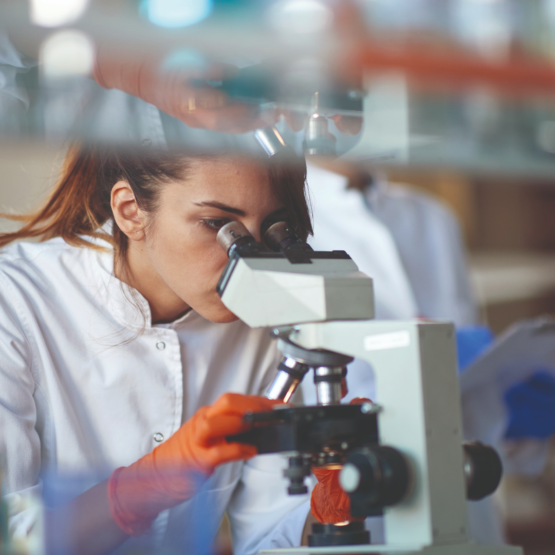 BIOLOGIA | Focus