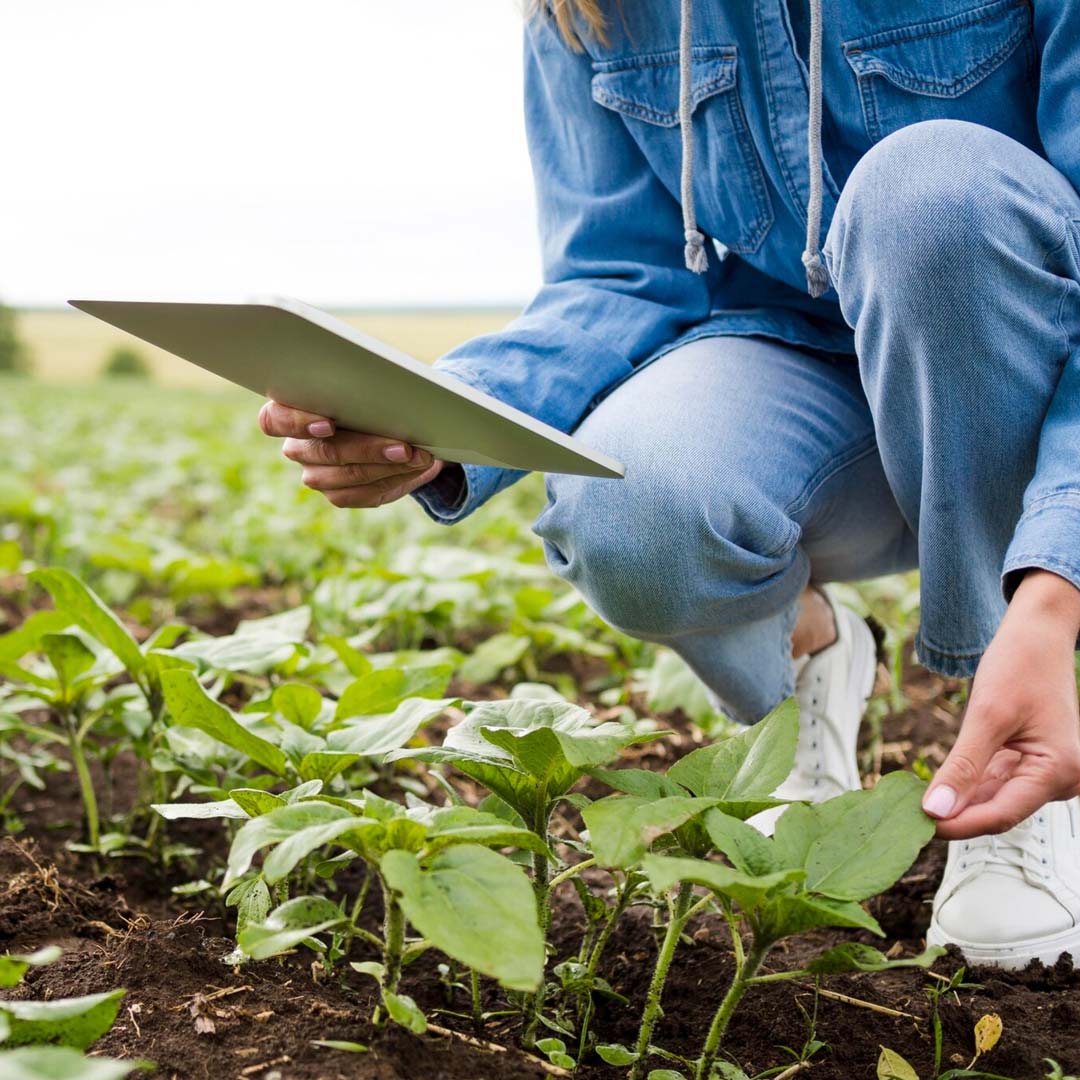 TOLC-AV - Masterclass 2026