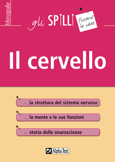 Il cervello